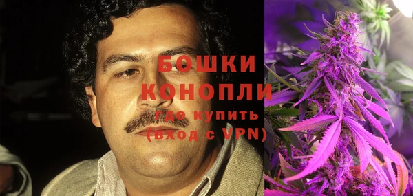 сатива Абинск