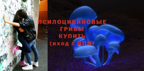 гидра Алексеевка