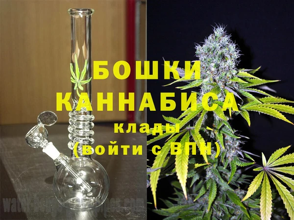 гидра Алексеевка