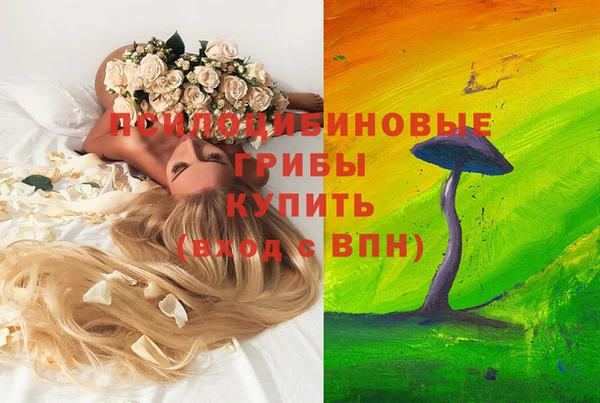 дурь Абдулино