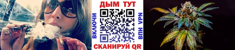 где найти   Иваново  Шишки марихуана Ganja 